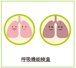 呼吸器機能